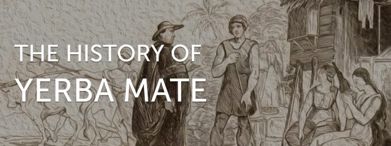 The History Of Yerba Mate Native Leaf